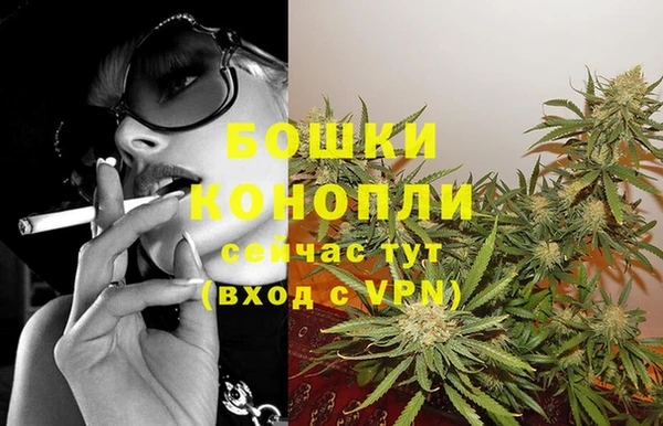 твердый Михайлов