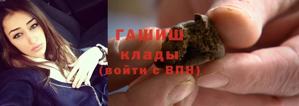 твердый Михайлов