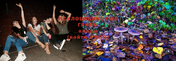 твердый Михайлов