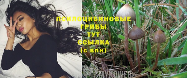 MDMA Михайловск