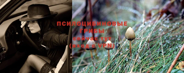 MDMA Михайловск