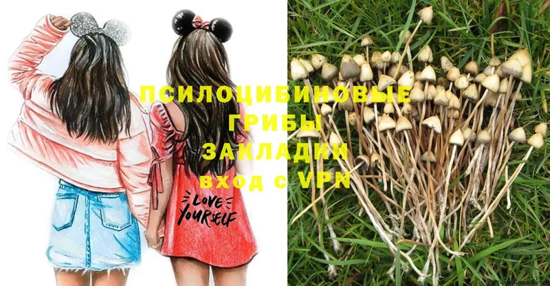 гидра зеркало  Зуевка  Псилоцибиновые грибы Magic Shrooms 